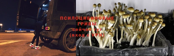 MESCALINE Алексин